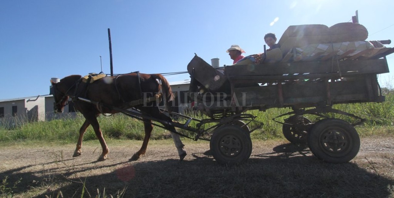 En Rosario prohibieron los carros y en Santa Fe se ensayan soluciones