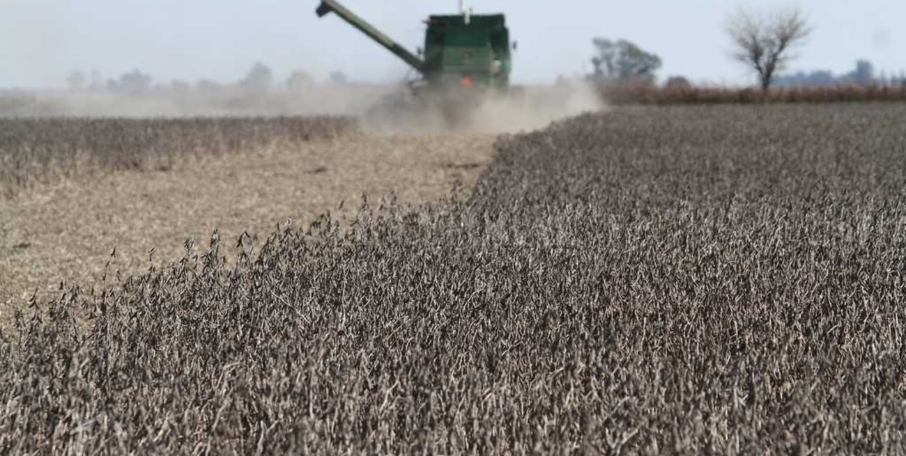 La "guerra" de la soja 