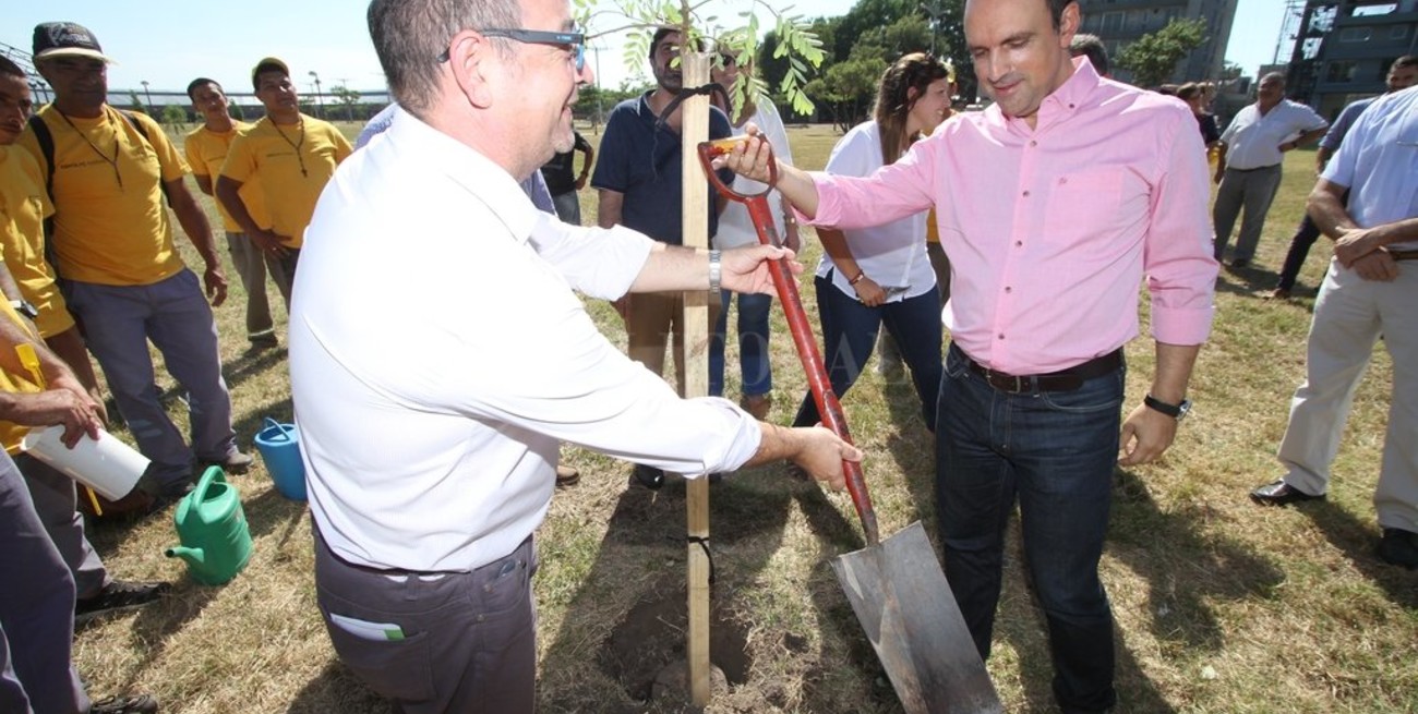 Plan de forestación y poda: se plantarán 10 mil arboles