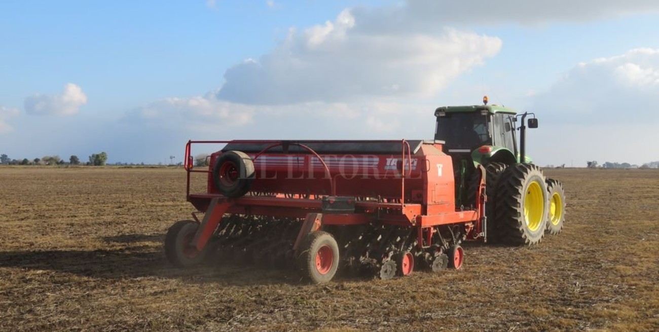 Comenzó la siembra de trigo 