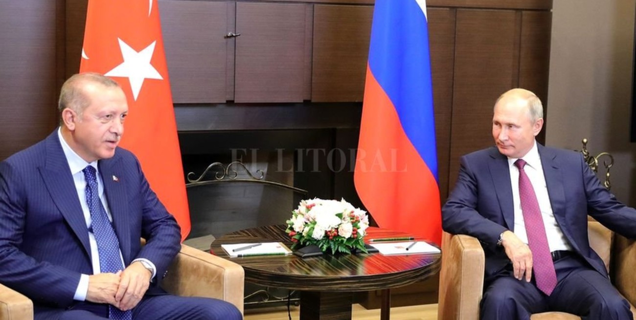 Putin analizó con Erdogan la situación en la provincia siria de Idlib 