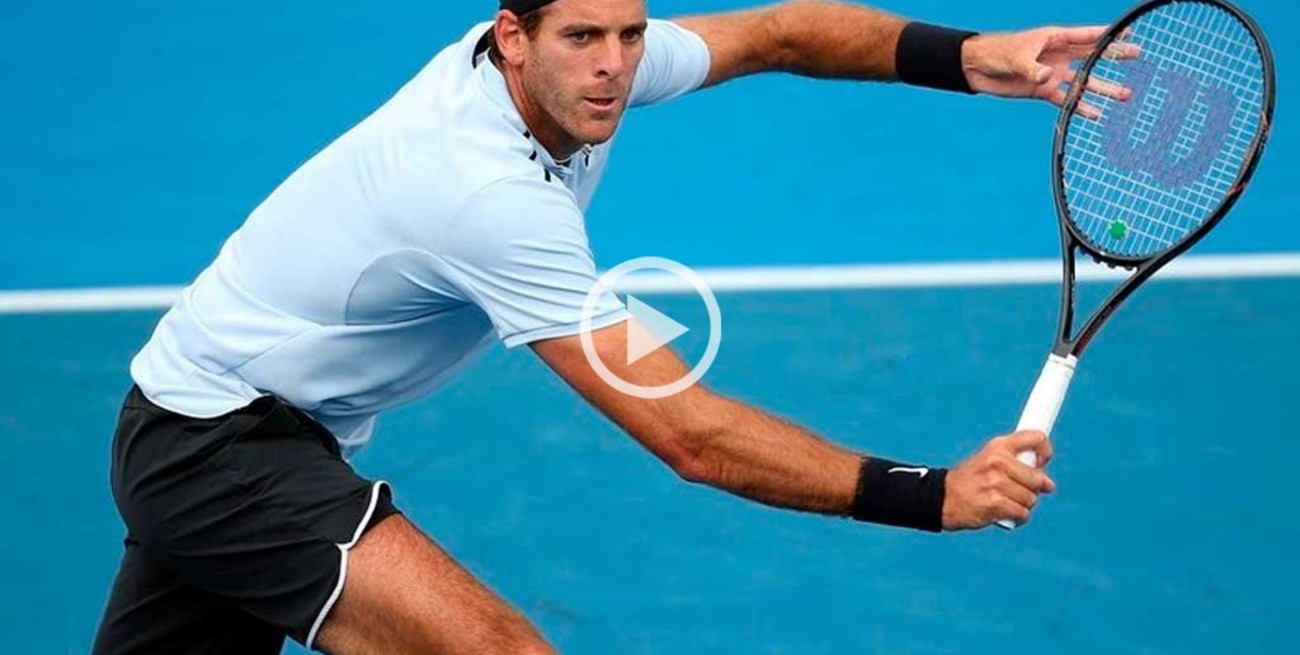 Del Potro perdió la final del ATP de Auckland