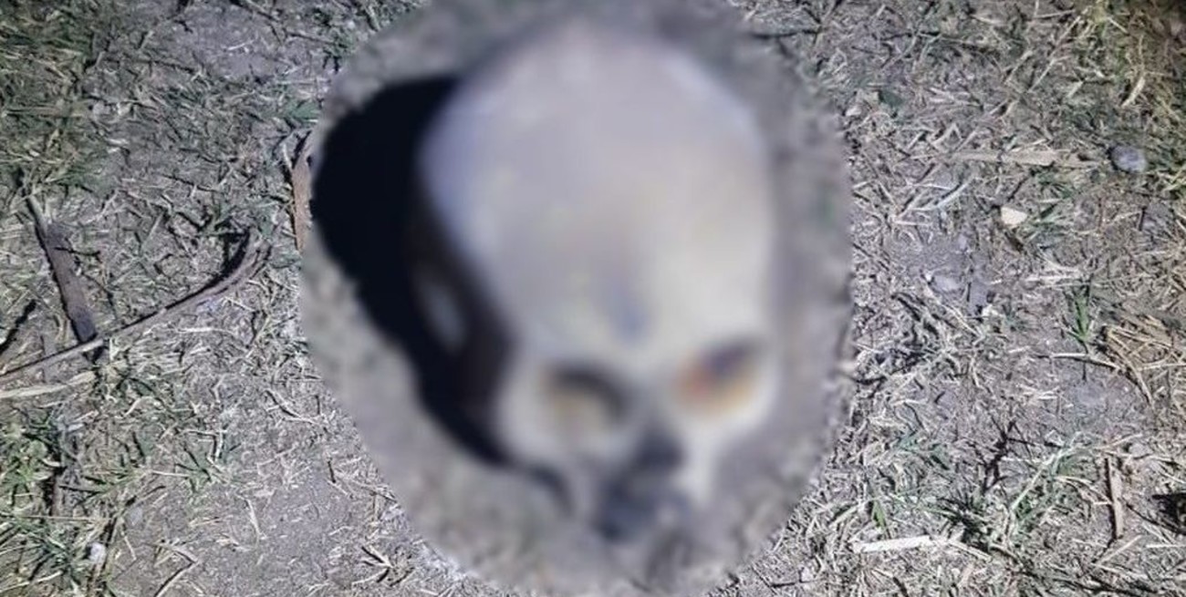 Encontraron un cráneo en Banda del Río Salí