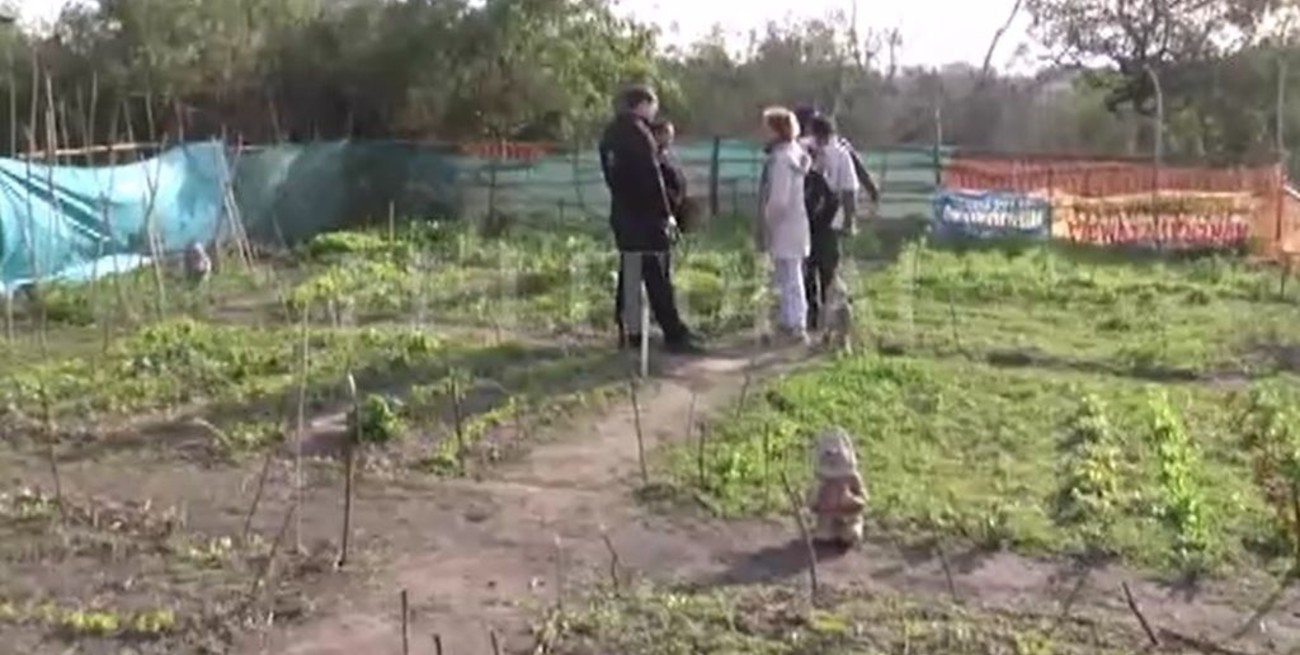 Playa Norte: jóvenes trabajan en huertas solidarias pero piden ayuda para limpiar basurales