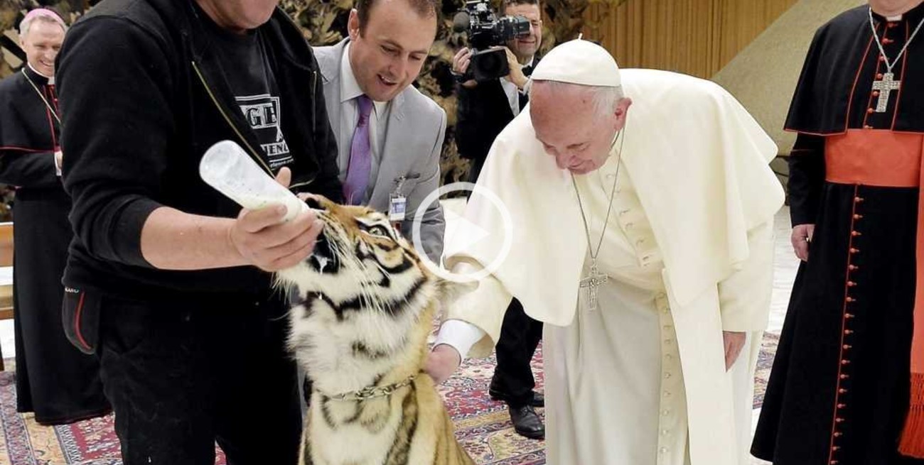 Video: el Papa Francisco recibió a artistas de un circo y acarició un tigre