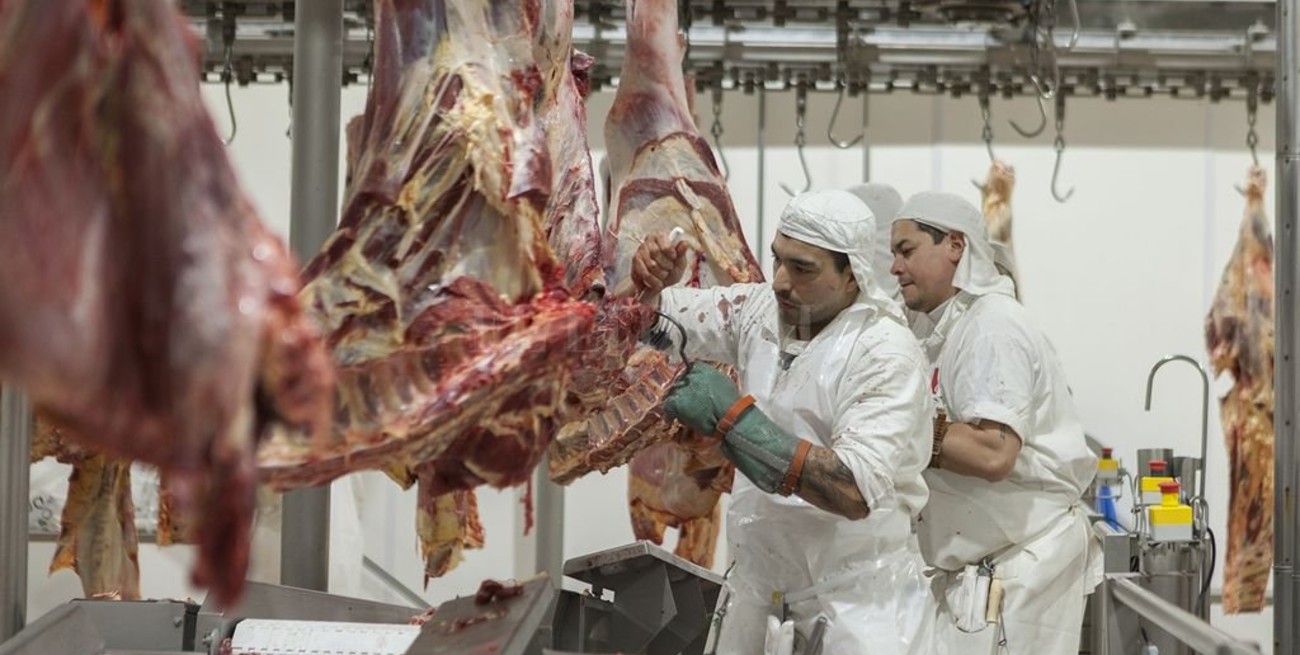 Senasa habilitó la inscripción online de productos de origen animal