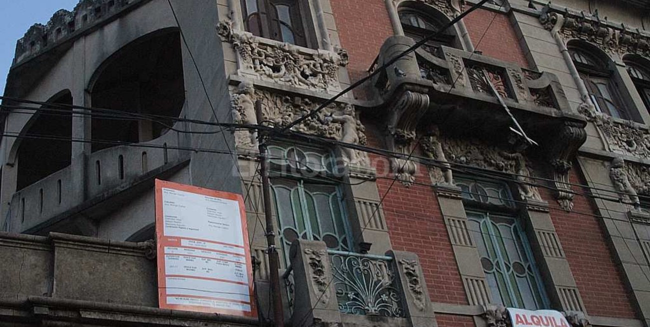 Protesta por matanza de gatos