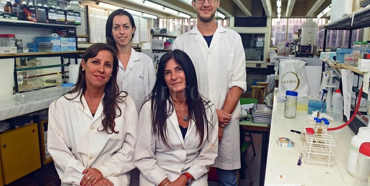 Científicos de Rosario patentan método para obtener especies vegetales "más eficientes"