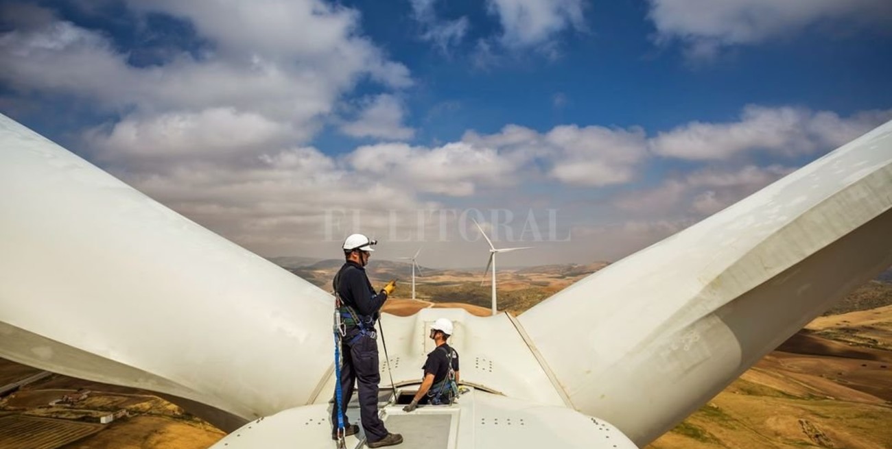 Harvard tomó el programa Renovar como caso de estudio