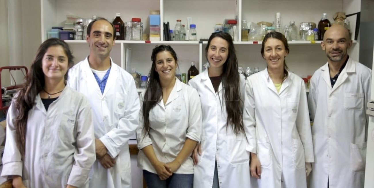 Presentan en Bariloche la primera cerveza 100% argentina