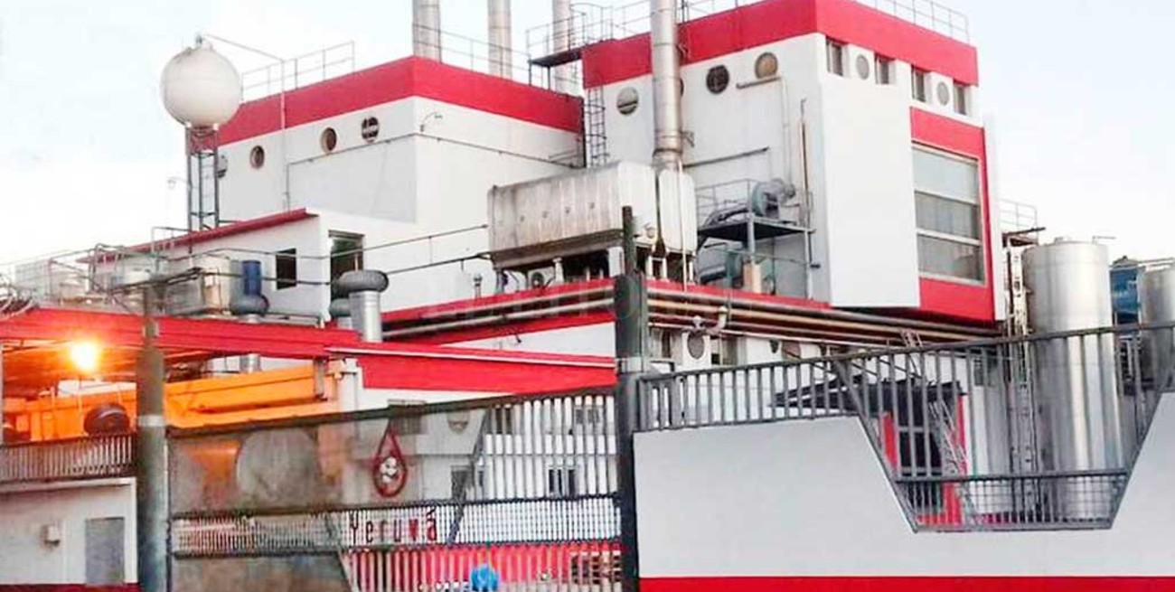 Esperanza: aprovechan desechos frigoríficos para transformarlos en productos de alto valor proteico