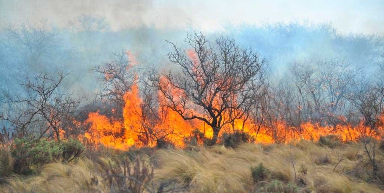 Córdoba en alerta por "riesgo extremo" de incendios forestales