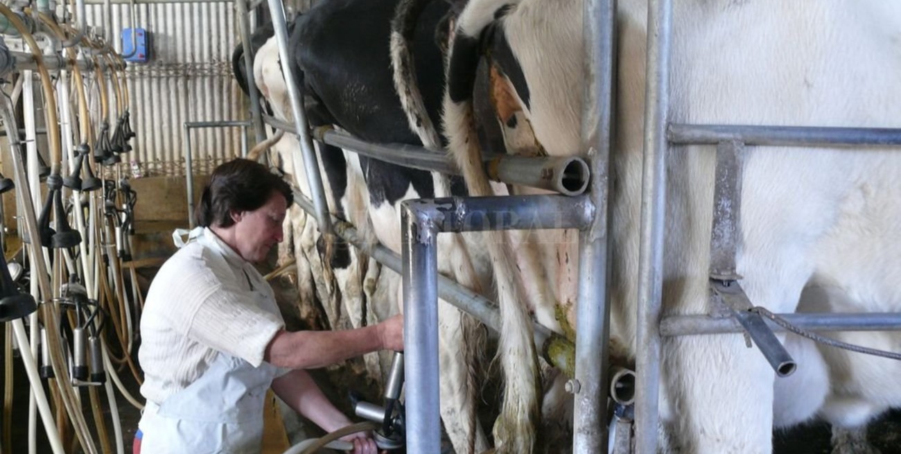 Lechería: Se perfila una descompresión del mercado interno