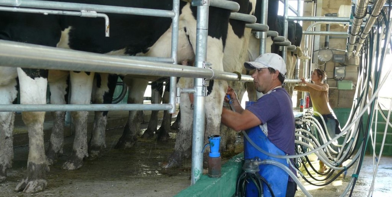 En el peor momento de rentabilidad, piden emergencia nacional para la lechería