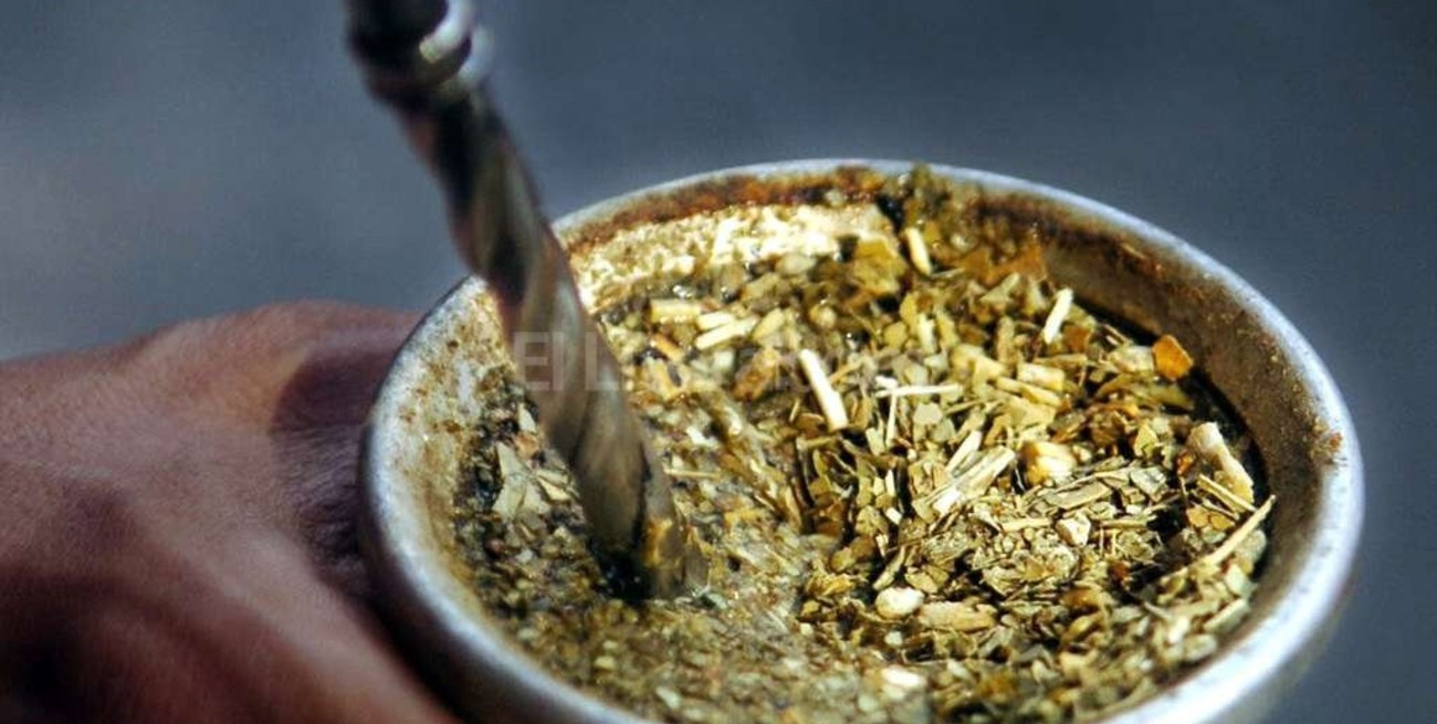 #DiaNacionalDelMate: 5 claves para una buena preparación