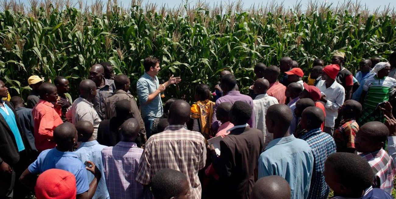 Aapresid expande fronteras: siembra directa en África