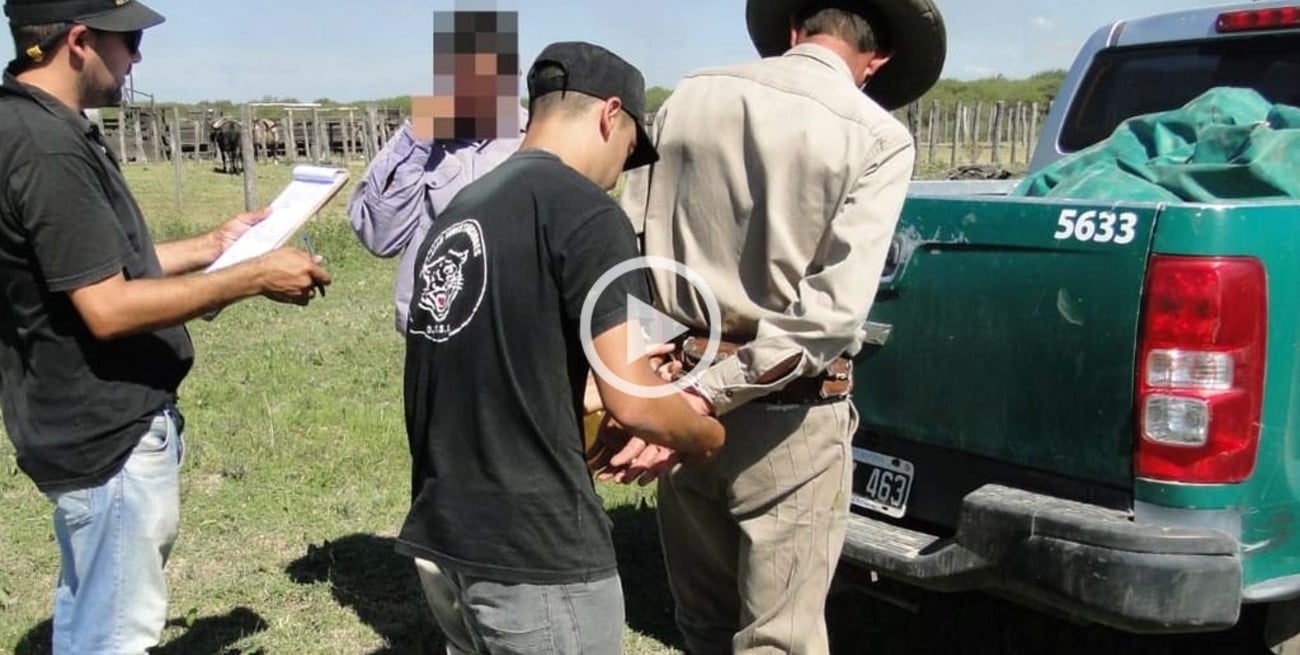 Abigeato: disminuye el robo de hacienda en pie pero sigue la faena en las islas