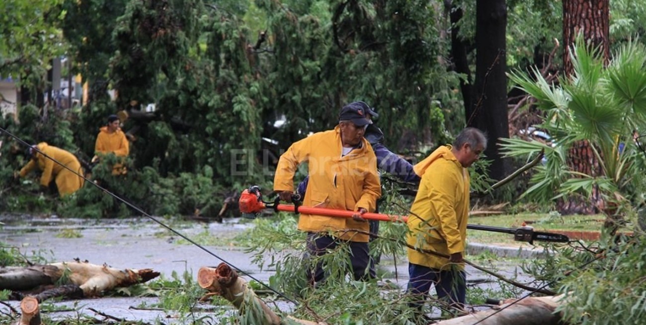 Más de 30 cuadrillas municipales trabajan en toda la ciudad