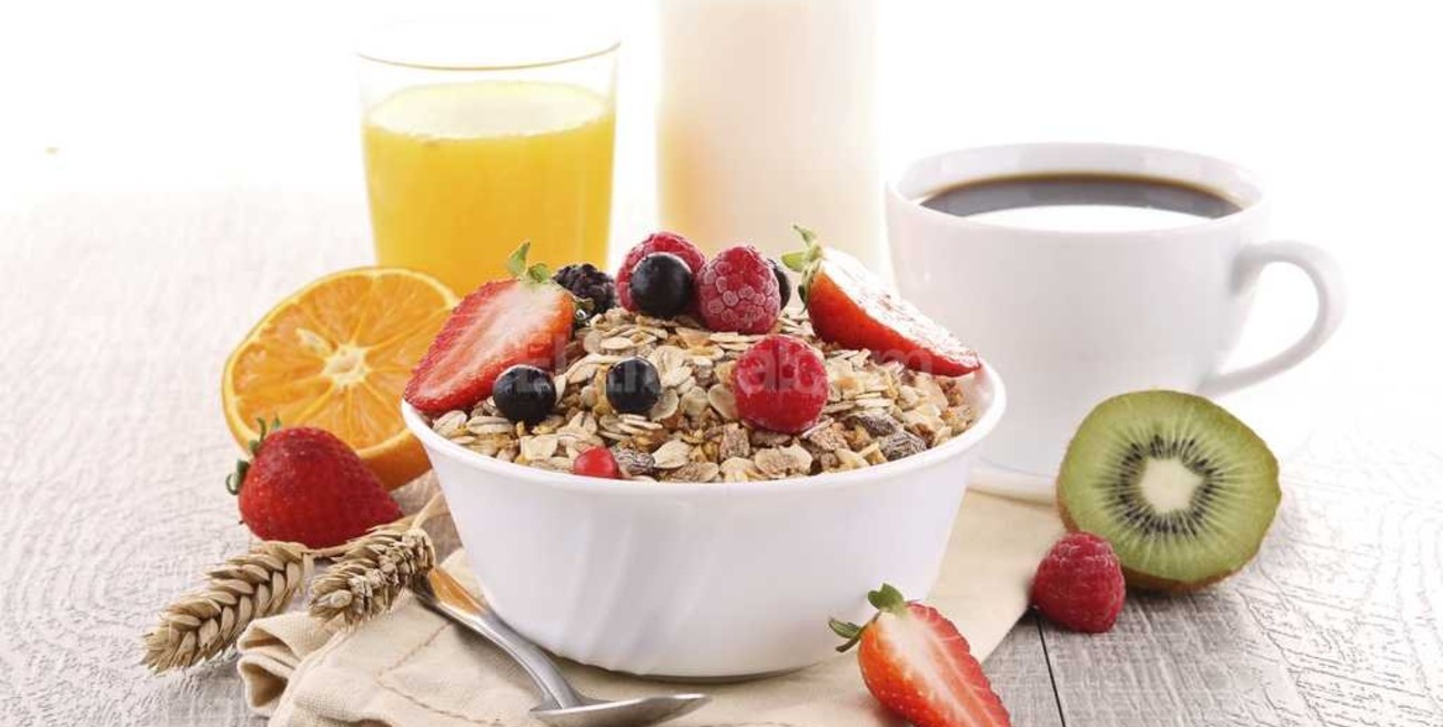 ¿Cómo despertar nuestro organismo?