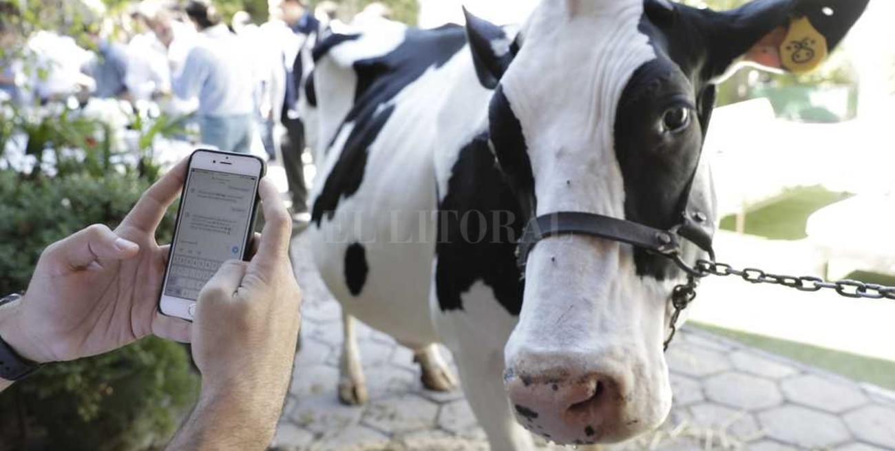 Todo el campo en tu celular 