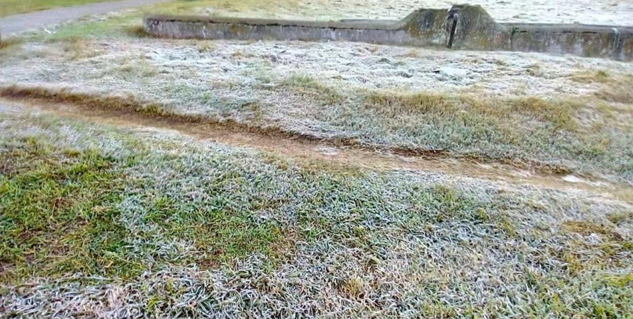 Imágenes de la helada que se formó en Santa Fe