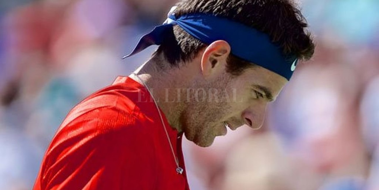 Del Potro cayó con Dimitrov y se despidió de Cincinnati