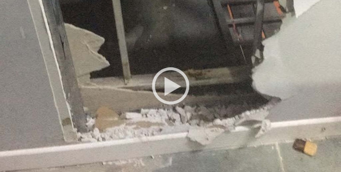 Video: boquetero suelto en la ciudad