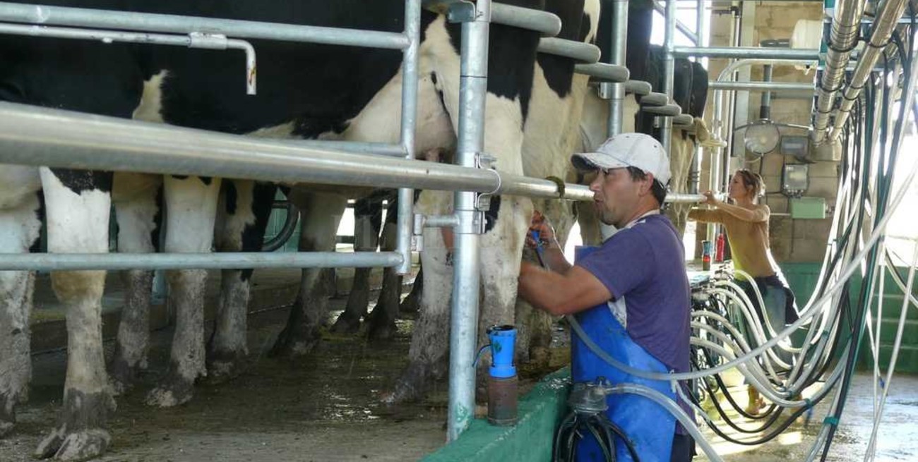 Lechería: "Santa Fe es la provincia más afectada"