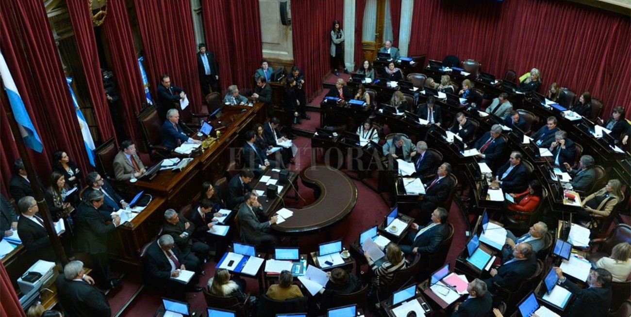 Despenalización del aborto: comienza el debate en el Senado