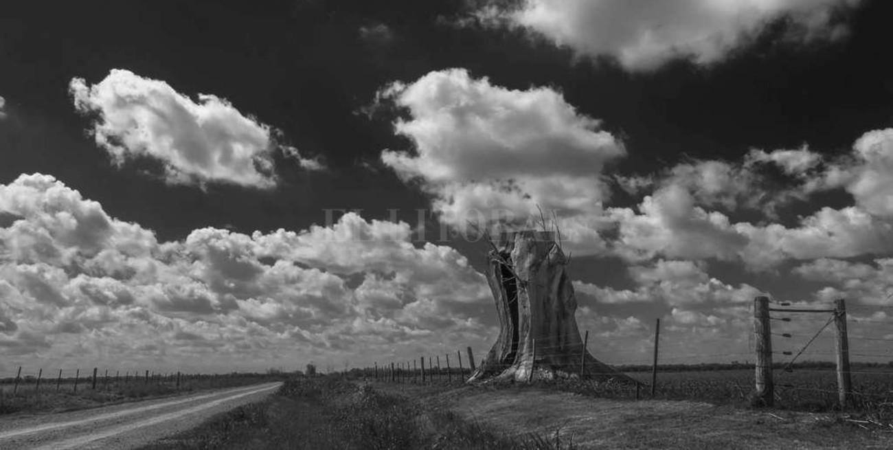 Los viajes de Roberto Aguirre Molina 