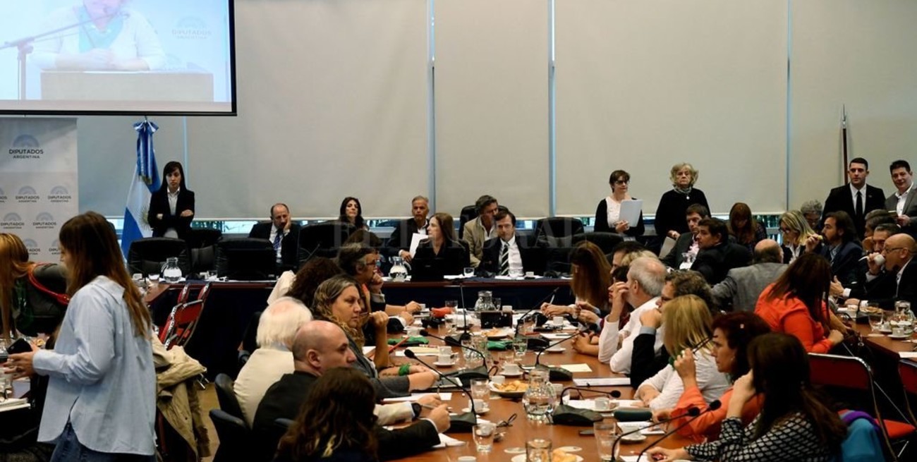 Diputados retoman el debate por la despenalización del aborto 