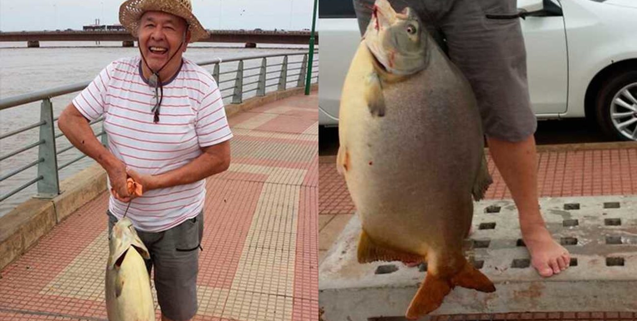 Pescó un pacú de 29 kilos en el río Paraná