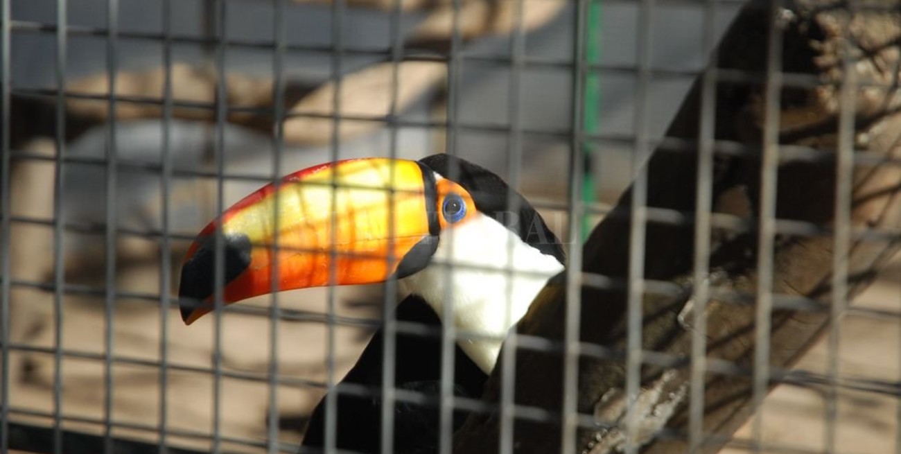 Granja La Esmeralda: piden que sea un área de conservación de especies