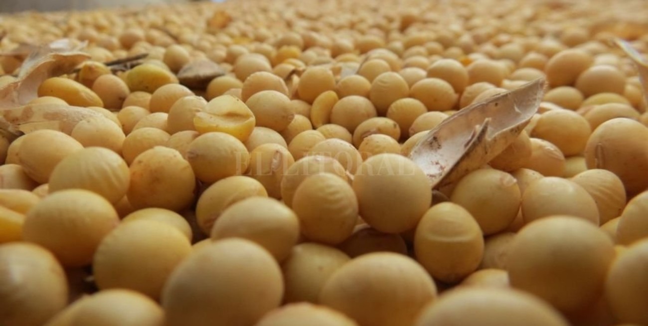 Intendentes radicales piden a Nación que restablezca el "Fondo Sojero"