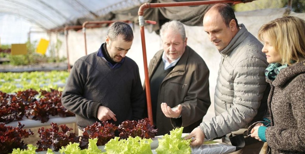 Incentivan el cultivo por hidroponia en el norte de la ciudad