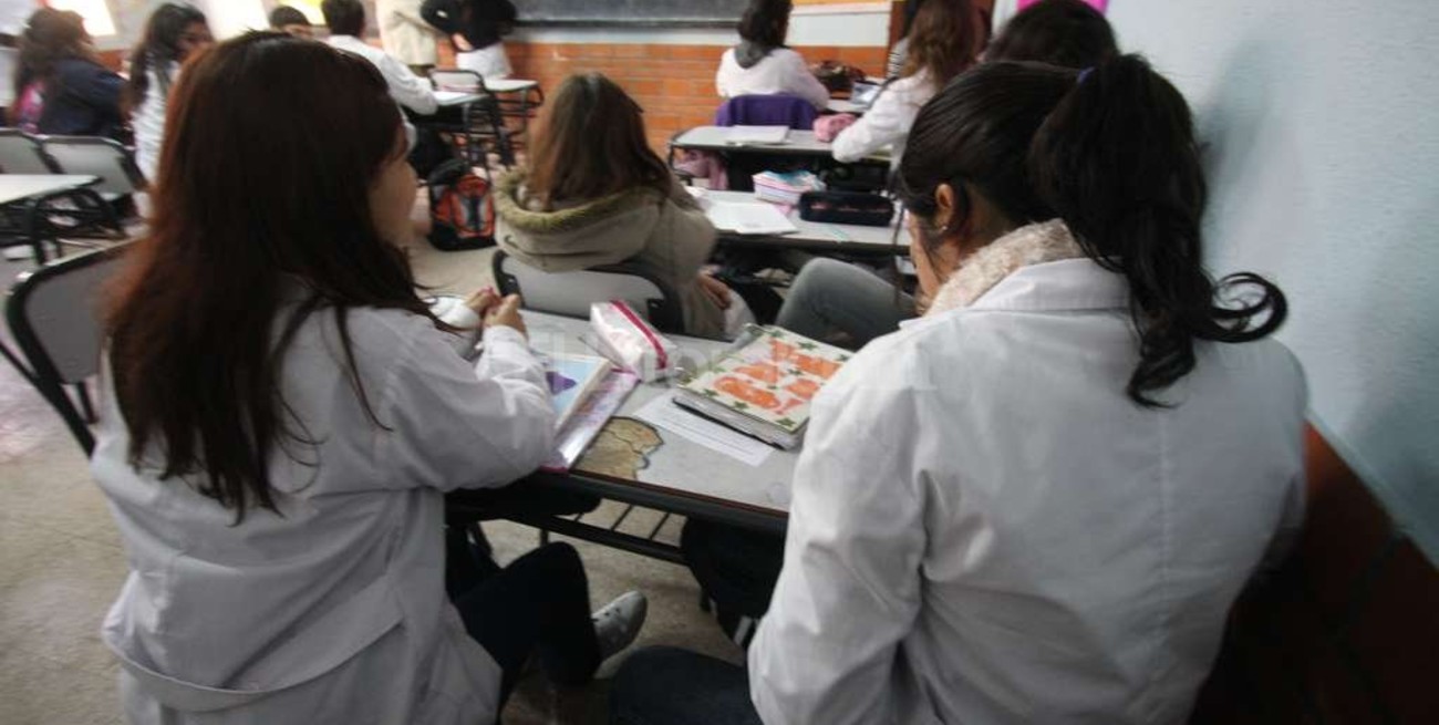 Educación interviene en más de 400 casos de abuso infantil