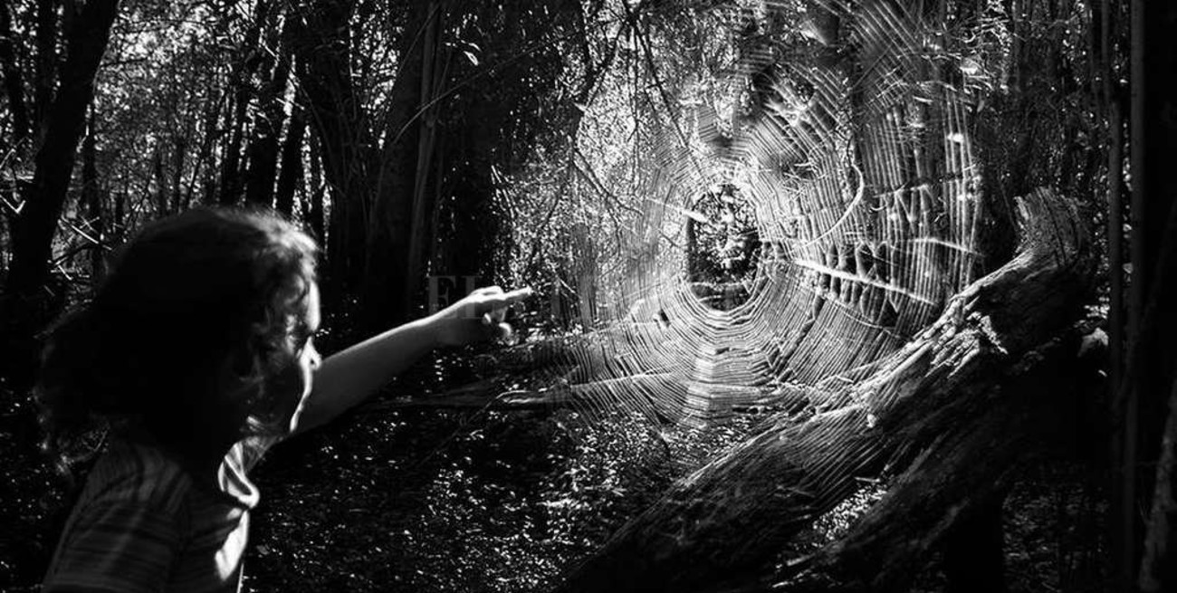 Continúa abierta la exposición "Se vuelve mágico"