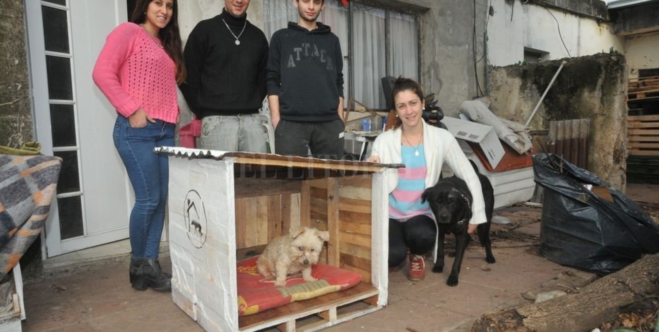 Una ONG construye cuchas para los perros de la calle