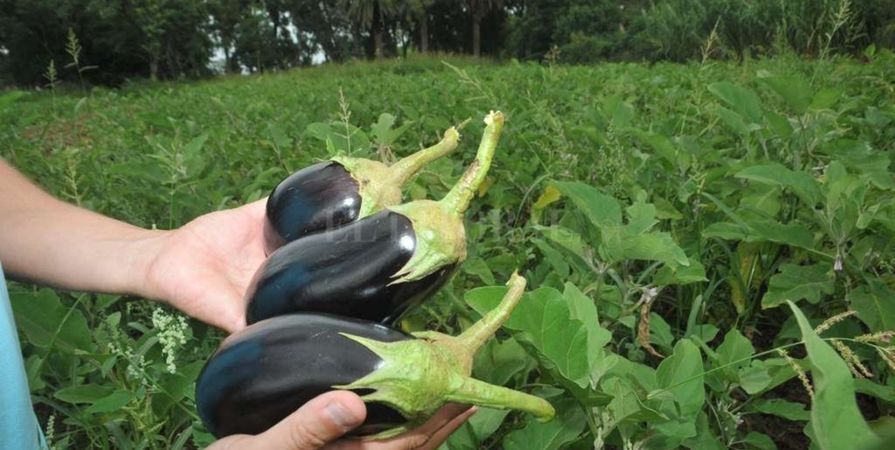 Buscan fortalecer el proyecto de la Casa de Semillas del Litoral