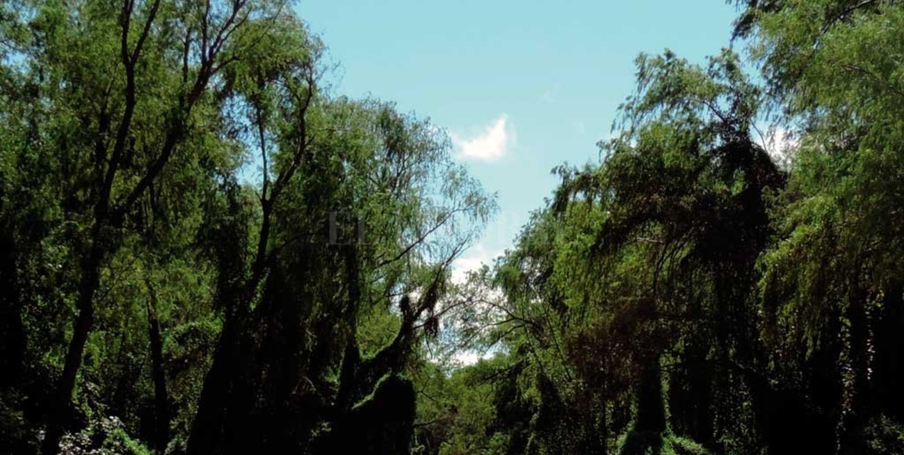 Coordinan acciones para el manejo sustentable del sitio Ramsar Jaaukanigás 