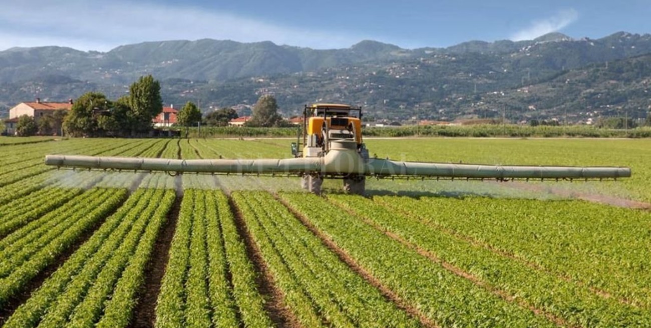 La Unión Europea podría prohibir el uso del glifosato 