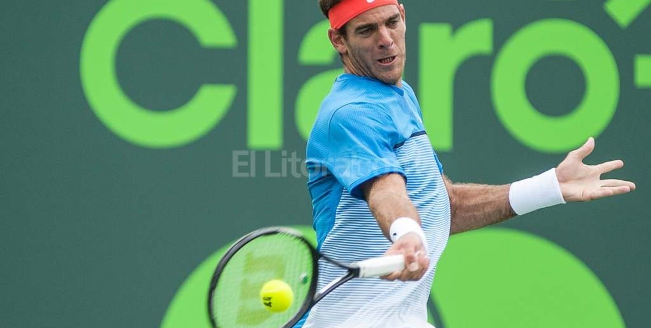 Del Potro: "Si eligiera esperar para estar mejor de la mano, no se cuando jugaría"