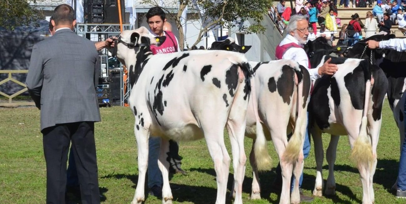 Expo Rural 2019: Rafaela calienta motores 