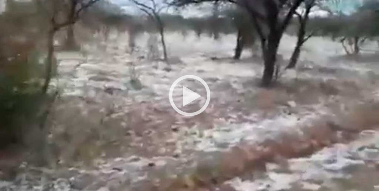 Video: impresionante granizo en Entre Ríos