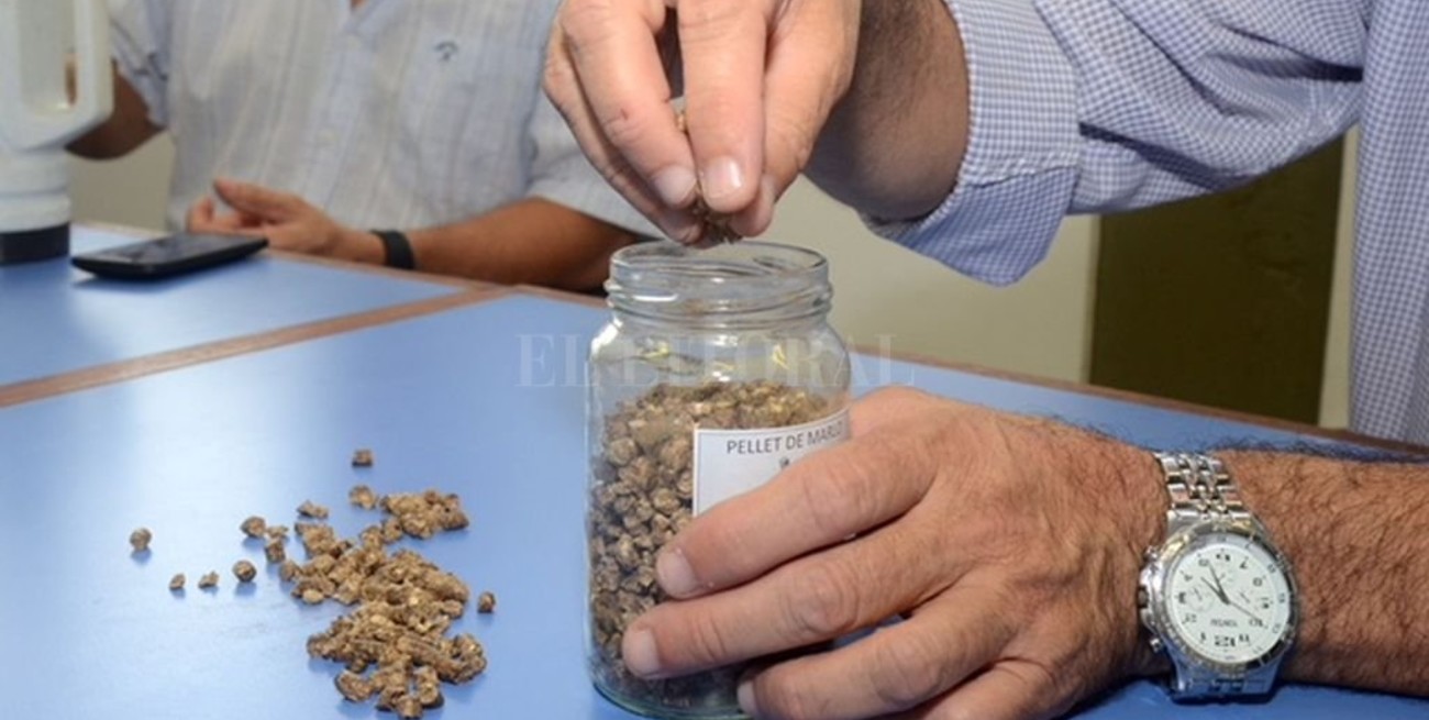 La UTN creó un sistema para generar energía con marlos de maíz