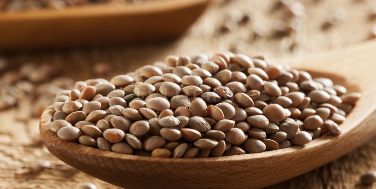 Arveja y lenteja: dan más que para un guiso