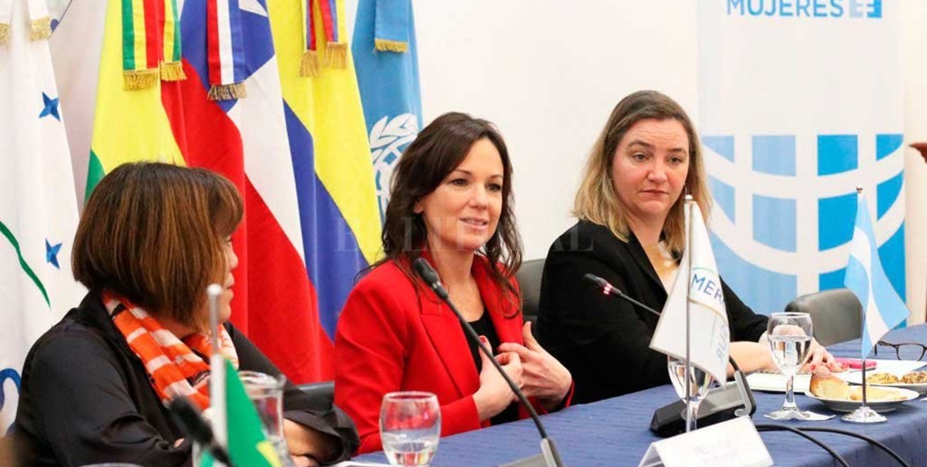 "Nosotros no hacemos política social por un voto", aseguró Carolina Stanley