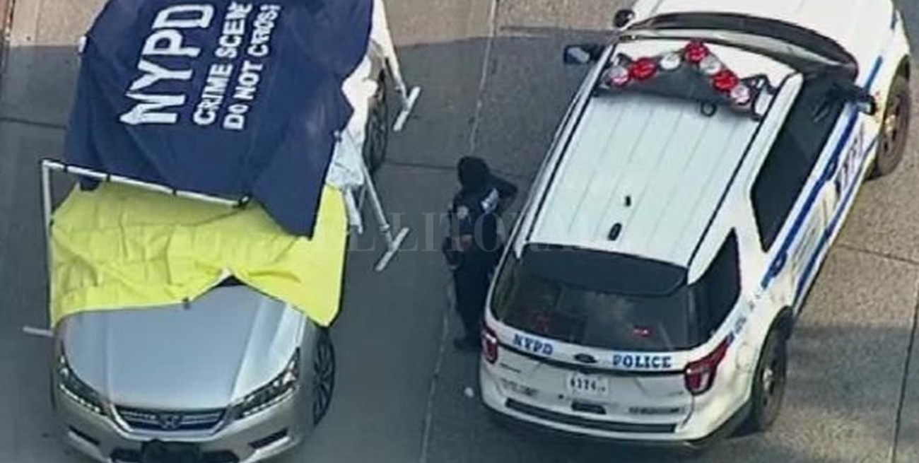 Gemelos de un año murieron tras ser olvidados en un auto