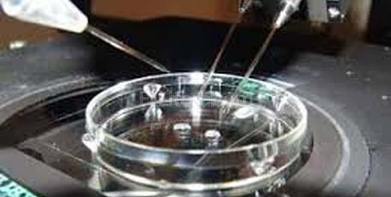 Una australiana es madre a los 63 gracias a la fecundación in vitro