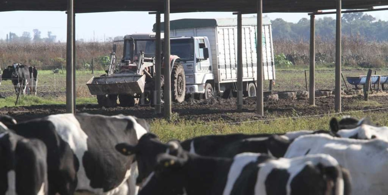 Contratos lácteos: de eso no se habla 